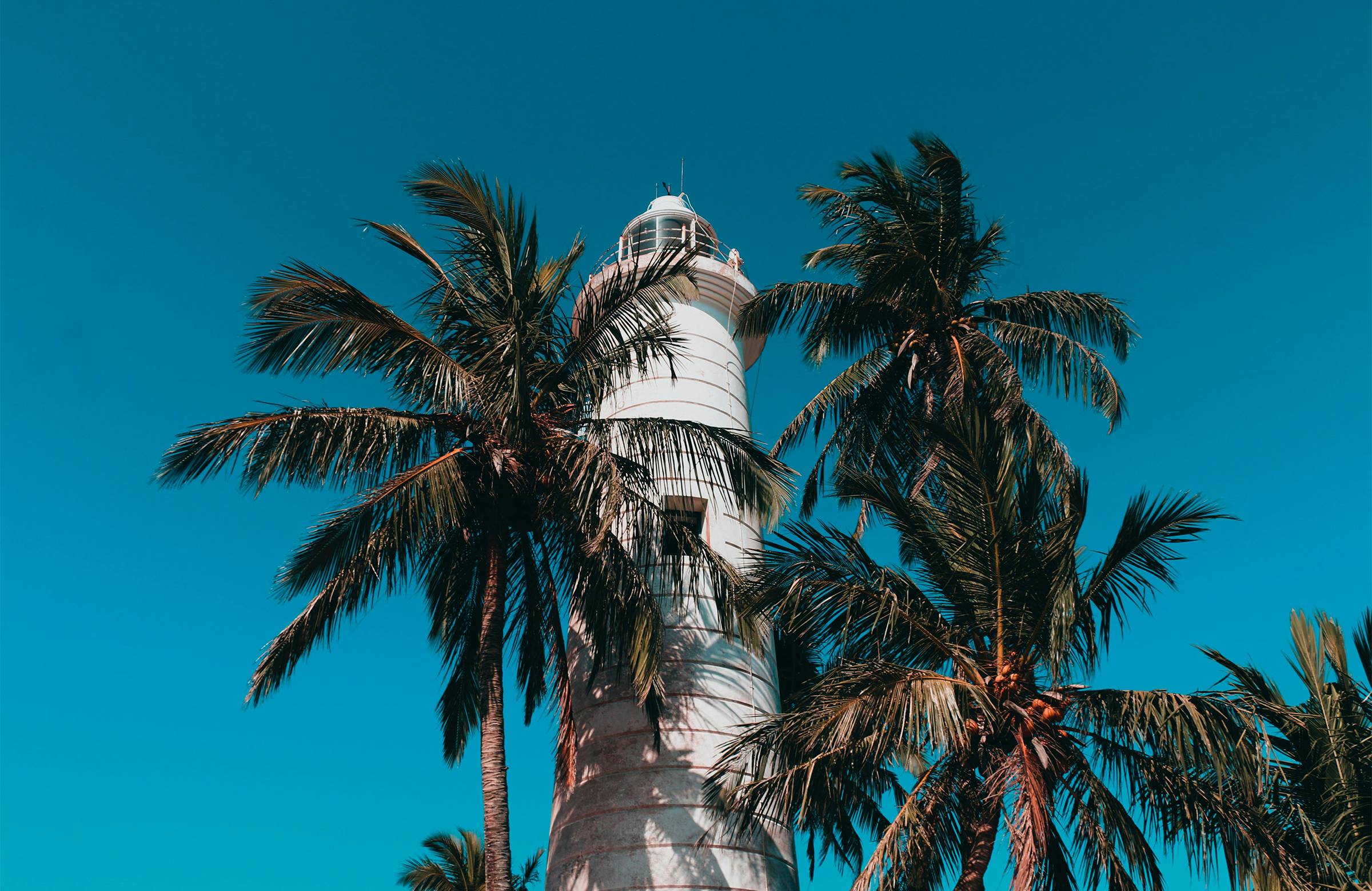 Sri lanka in focus